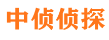 大厂市调查取证